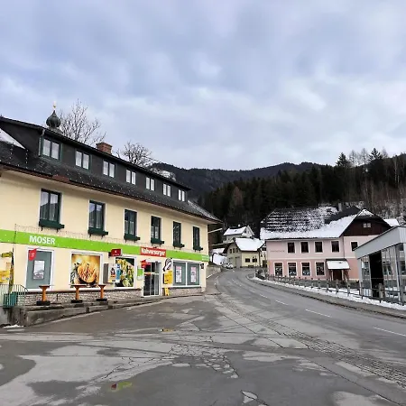 Moser-1 By Interhome Stein an der Enns