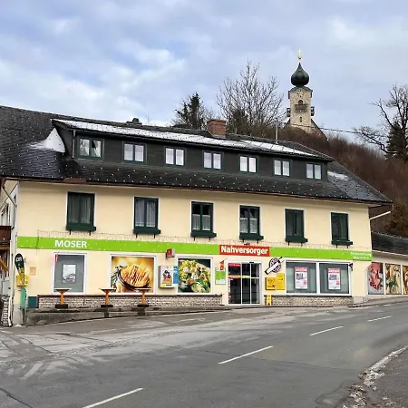 Moser-1 By Interhome Stein an der Enns