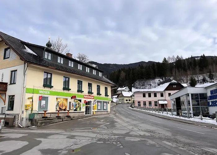 Moser-1 By Interhome Stein an der Enns